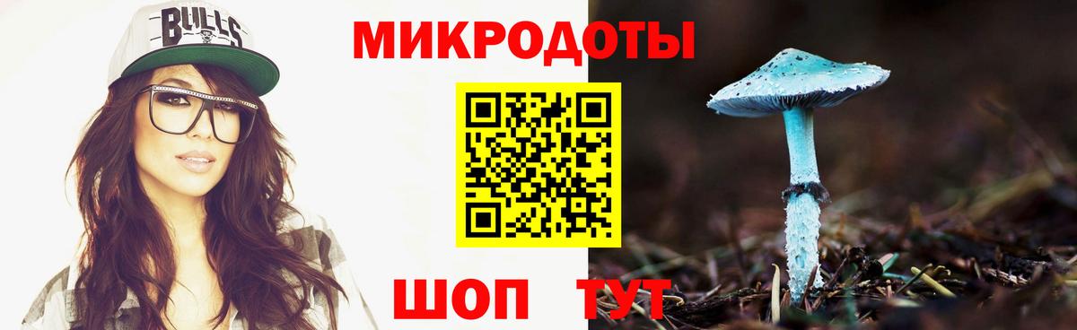 Галлюциногенные грибы Psilocybe Кирово-Чепецк